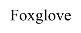 FOXGLOVE trademark