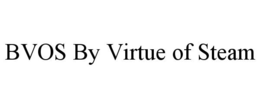 BVOS BY VIRTUE OF STEAM trademark