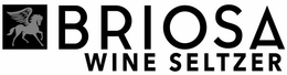 BRIOSA WINE SELTZER trademark