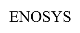 ENOSYS trademark