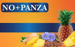 NO+PANZA trademark