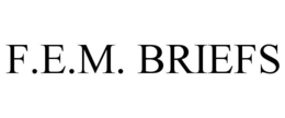 F.E.M. BRIEFS trademark