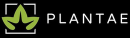 PLANTAE trademark