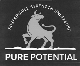 SUSTAINABLE STRENGTH UNLEASHED PURE POTENTIAL trademark