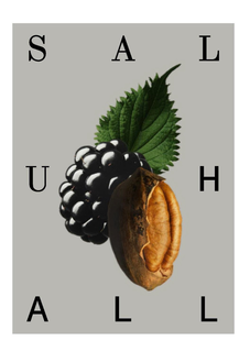 S A L U H A L L trademark