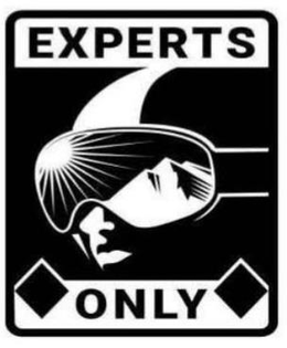 EXPERTS ONLY trademark