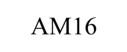 AM16 trademark