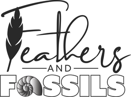 FEATHERSANDFOSSILS trademark