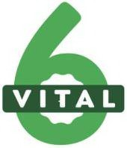 VITAL 6 trademark