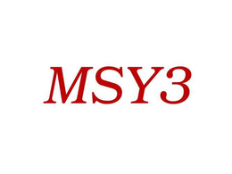 MSY3 trademark