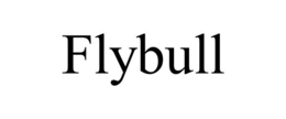 FLYBULL trademark