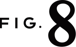 FIG. 8 trademark