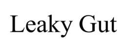 LEAKY GUT trademark