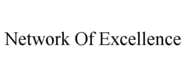 NETWORK OF EXCELLENCE trademark