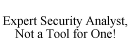 EXPERT SECURITY ANALYST, NOT A TOOL FOR ONE! trademark