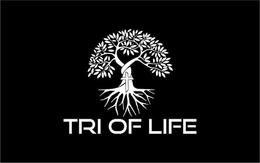 TREE OF LIFE trademark