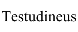TESTUDINEUS trademark