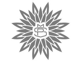 MSP trademark