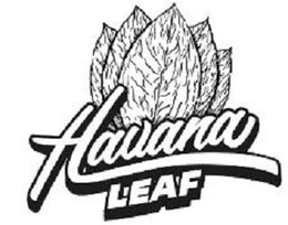 HAVANA LEAF trademark