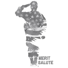 MERIT SALUTE trademark