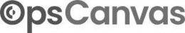 OPSCANVAS trademark