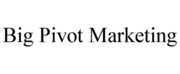 BIG PIVOT MARKETING trademark