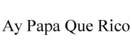 AY PAPA QUE RICO trademark