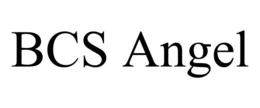 BCS ANGEL trademark