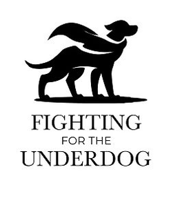 FIGHTING FOR THE UNDERDOG trademark