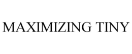 MAXIMIZING TINY trademark