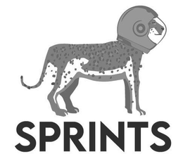 SPRINTS trademark