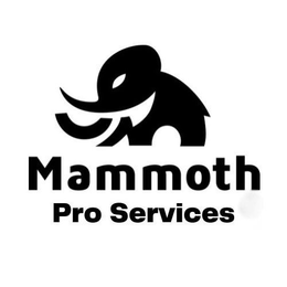 MAMMOTH PRO SERVICES trademark