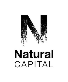 N NATURAL CAPITAL trademark