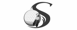 S trademark