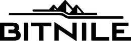 BITNILE trademark