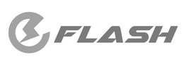 E FLASH trademark