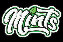 MINTS trademark