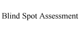 BLIND SPOT ASSESSMENT trademark