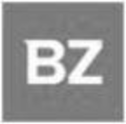 BZ trademark
