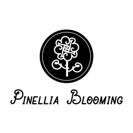 PINELLIA BLOOMING PP trademark