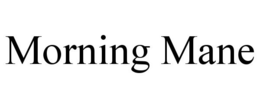MORNING MANE trademark