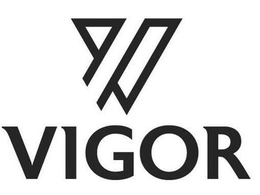 V VIGOR trademark
