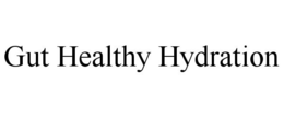 GUT HEALTHY HYDRATION trademark