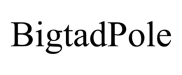 BIGTADPOLE trademark
