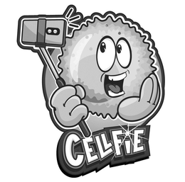 CELLFIE trademark