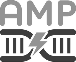 AMP trademark
