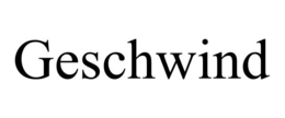 GESCHWIND trademark