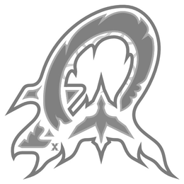 Z0 X trademark