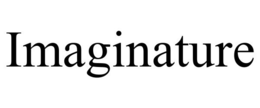 IMAGINATURE trademark