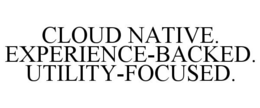 CLOUD NATIVE. EXPERIENCE-BACKED. UTILITY-FOCUSED. trademark